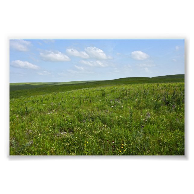 Flint Hills Wildflowers, Kansas Photo Print (Front)