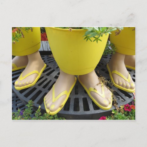 Flip Flop Pot Postcard