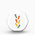 Flip Flops Award<br><div class="desc">The family is off to the beach! Flip flops for everyone create a perfect summertime design.</div>