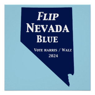 Flip Nevada Blue in 2024 Poster