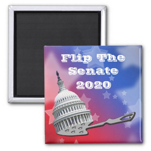 Flip The Senate Vote 2020 Magnet