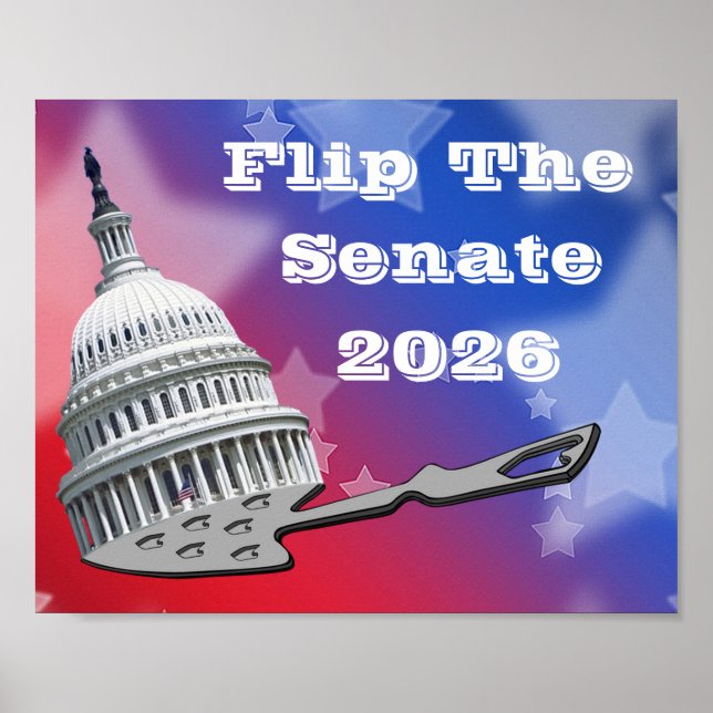 Flip The Senate Vote 2026 Poster (Front)