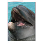 Flipper Card