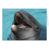 Flipper Card (Front Horizontal)