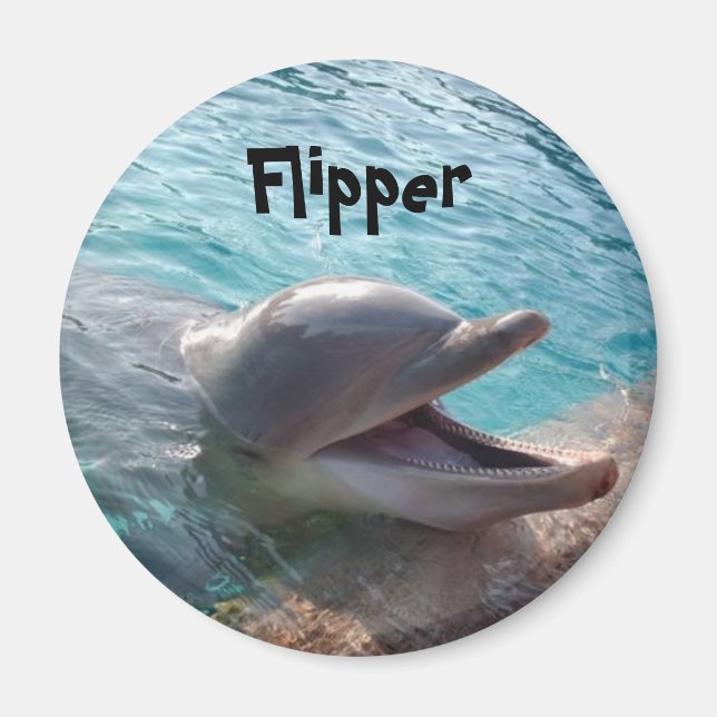 Flipper Magnet (Front)
