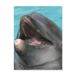 Flipper Postcard