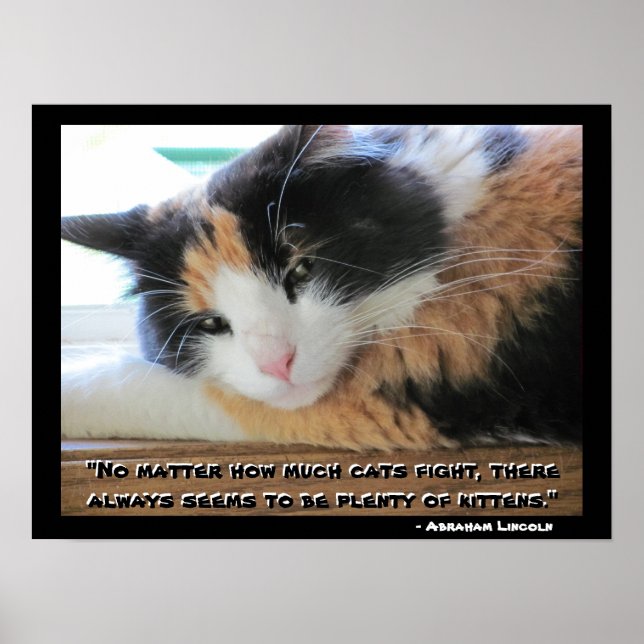 Flirty  Calico With Abraham Lincon  quote Meme Poster (Front)