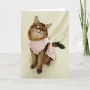 Flirty Cat Somali Cat Card