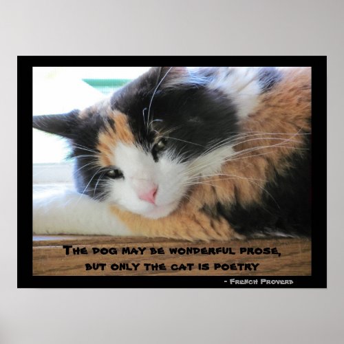 Flirty eyed calico with French Proverb Poster