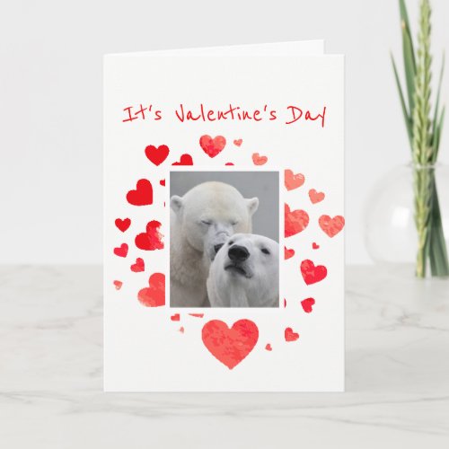 Flirty Polar Bears Make Valentines Day Special Holiday Card