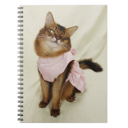 Flirty Somali Cat Winking Cat Notebook