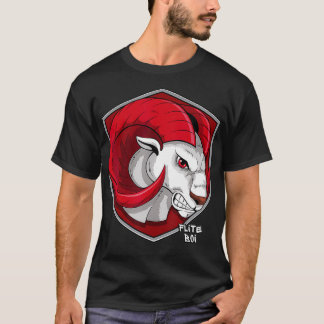 Flite Boi WinstonSalem State WSSU Rams Graphic T-Shirt