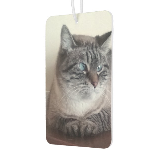 Flo Kitty-Kat Air Freshener (Left)