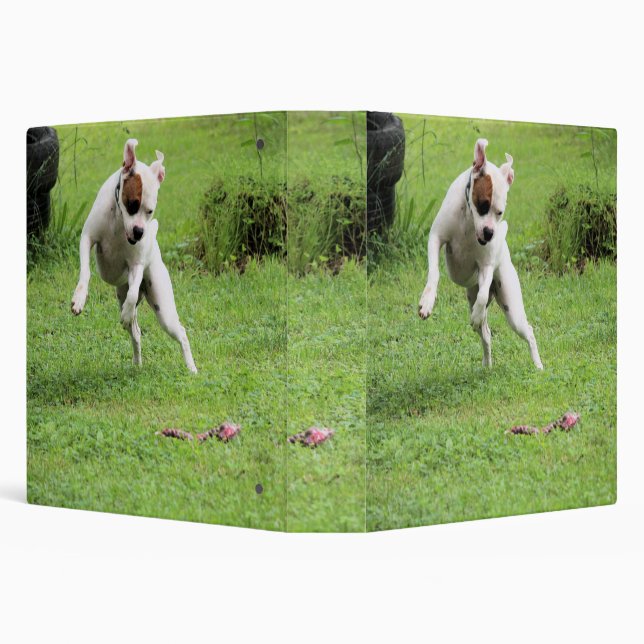 Float 3 Ring Binder (Background)