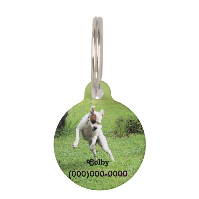 Float Pet ID Tag (Front)