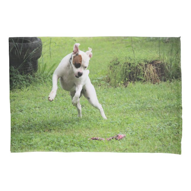 Float   pillow case (Front)