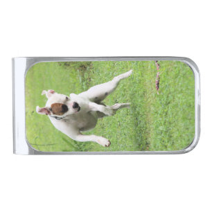 Float silver finish money clip