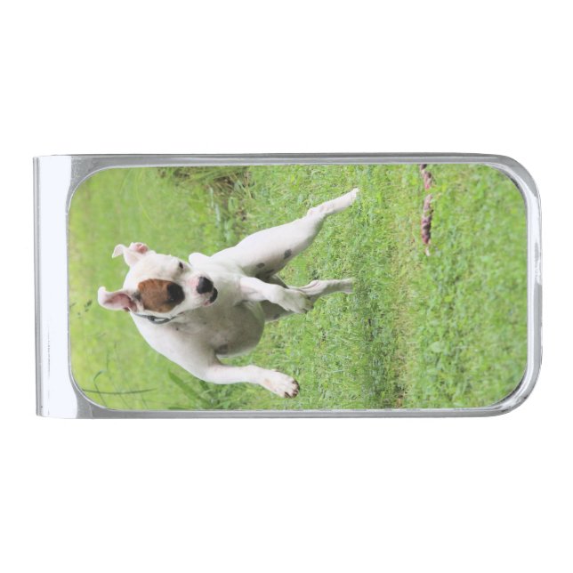 Float  silver finish money clip (Front)