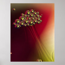 Floating Abstract Bubbles Colorful Background