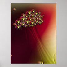 Floating Abstract Bubbles Colorful Background