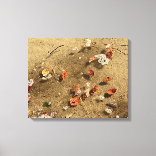 Floating Autumn Leaves Canvas Print