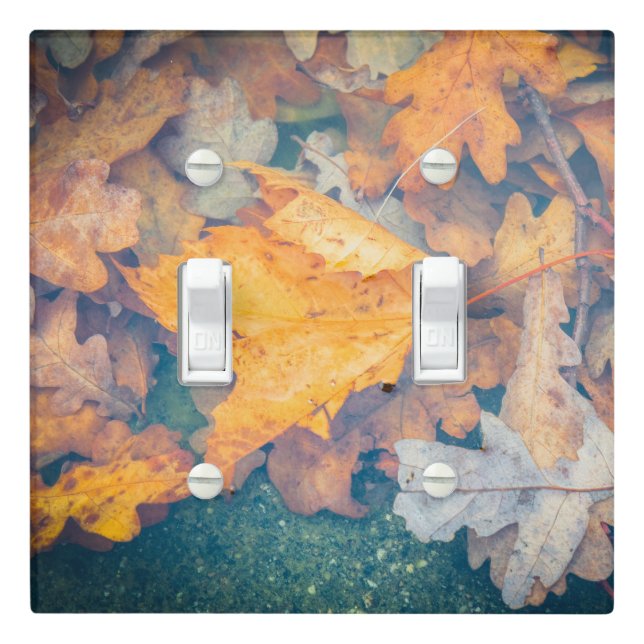 Floating autumn leaves light switch cover (In Situ)