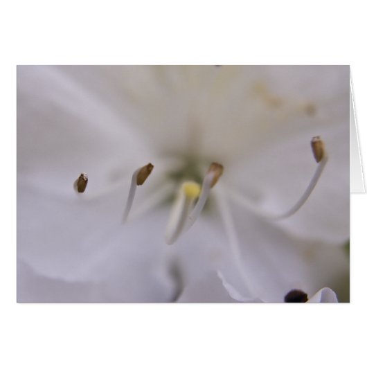 Floating Card (Front Horizontal)