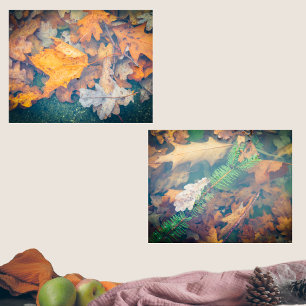 Floating colorful autumn leaves and branches wall art sets