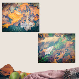 Floating colorful autumn leaves and branches  wall art sets