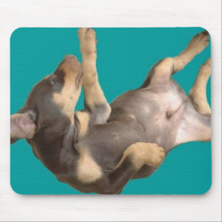 Floating Doberman Puppy Mouse Pad