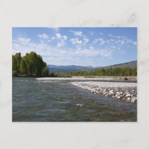 Floating Down the Snake River I Postcard