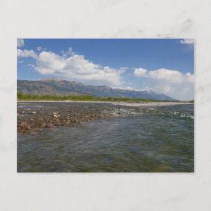 Floating Down the Snake River II Postcard
