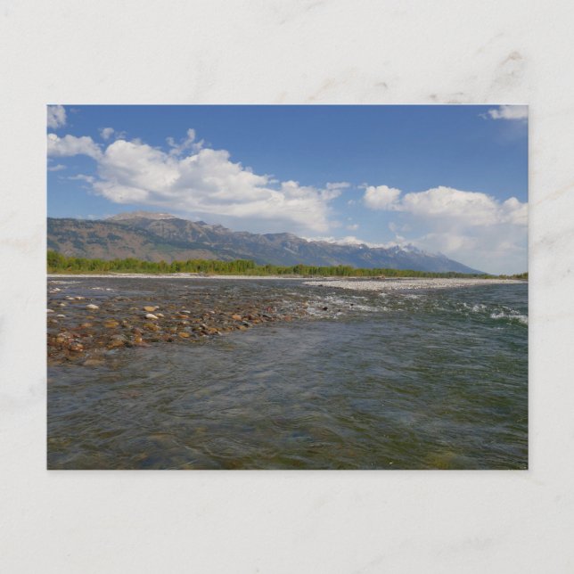 Floating Down the Snake River II Postcard (Front)