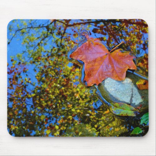 floating fall leaf on rock mouse pad