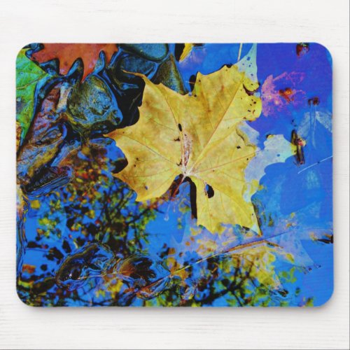floating fall leaf with reflection of blue sky mouse pad