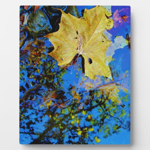 floating fall leaf with reflection of blue sky plaque