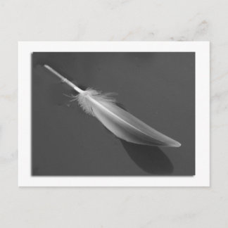 Floating Feather Postcard