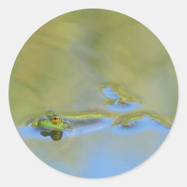 Floating Frog Classic Round Sticker (Front)