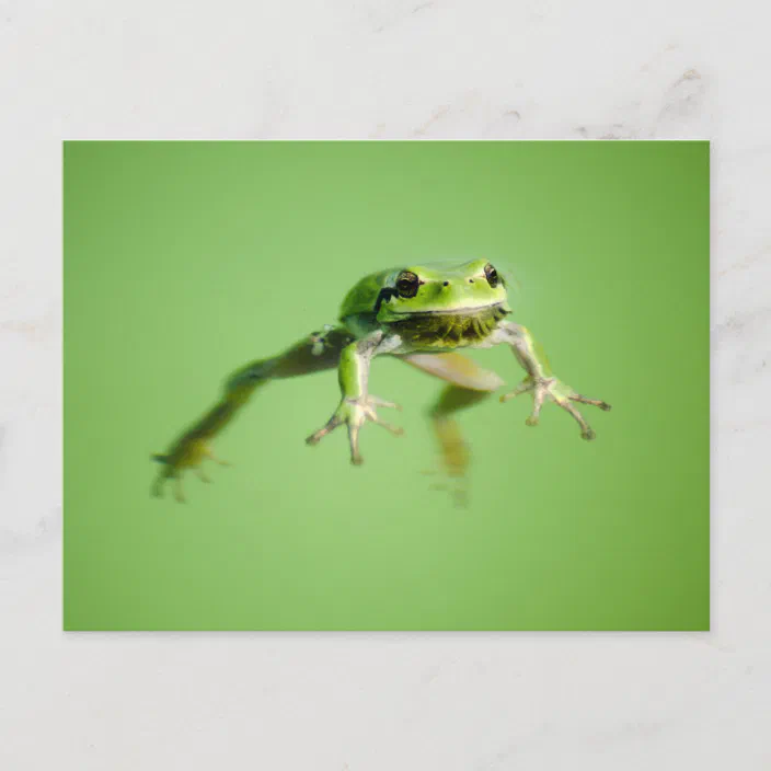 Sinking frog
