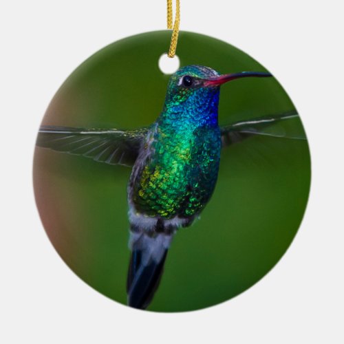 Floating Hummingbird Ceramic Ornament