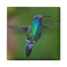 Floating Hummingbird Magnet Floating Hummingbird Magnet
