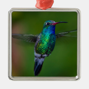 Floating Hummingbird Metal Ornament