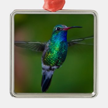 Floating Hummingbird Metal Ornament by birdsandblooms at Zazzle