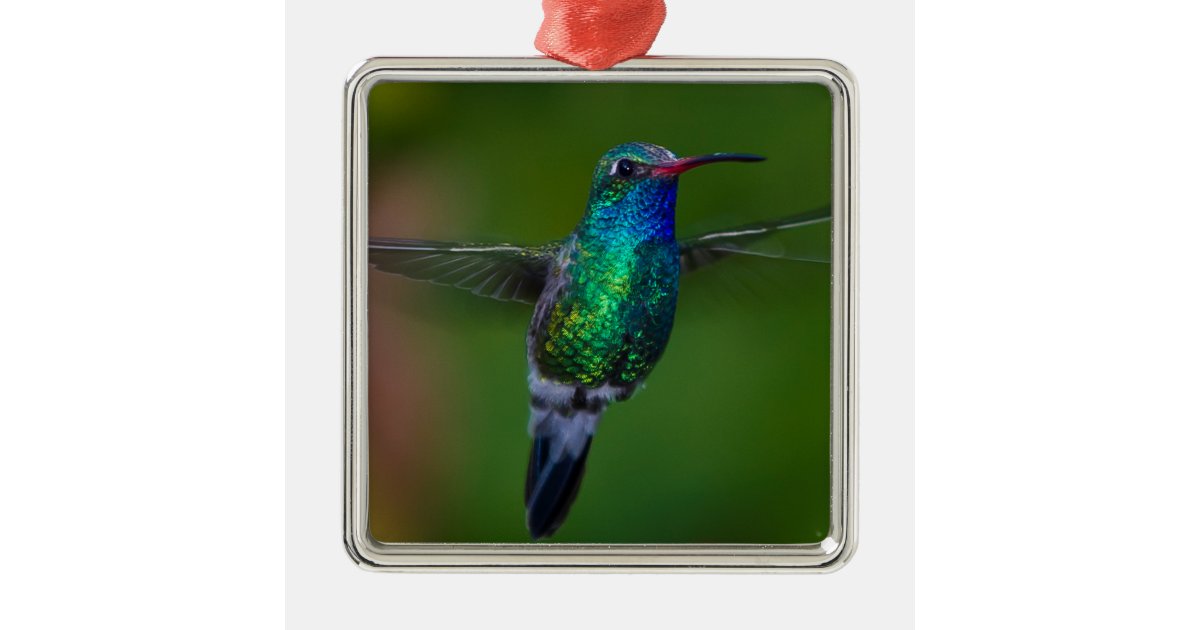 Floating Hummingbird Metal Ornament Zazzle