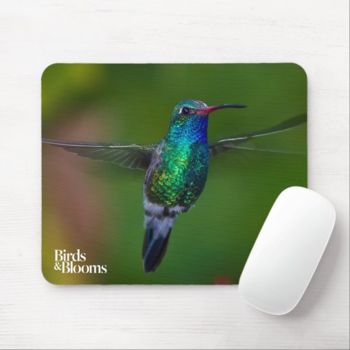 Floating Hummingbird Mouse Pad | Zazzle