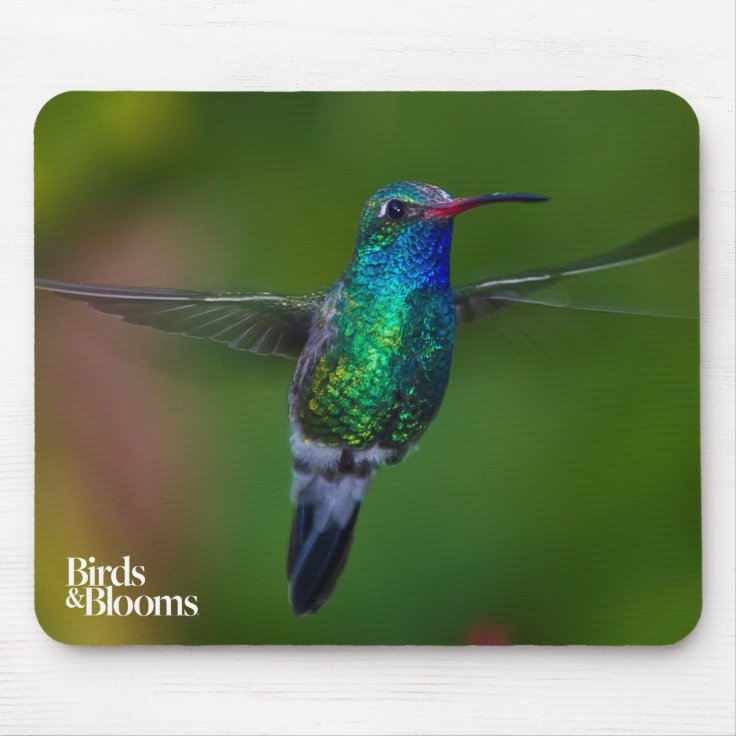 Floating Hummingbird Mouse Pad | Zazzle