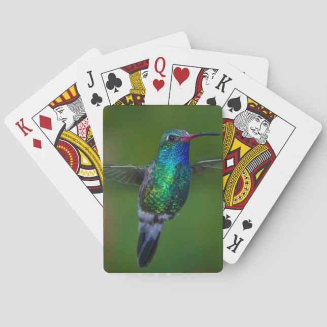 Floating Hummingbird Poker Cards (Back)