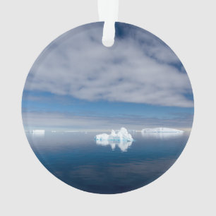 Floating ice in Antarctica Ornament