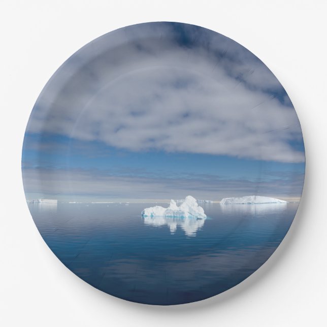 Floating ice in Antarctica Paper Plates (Front)
