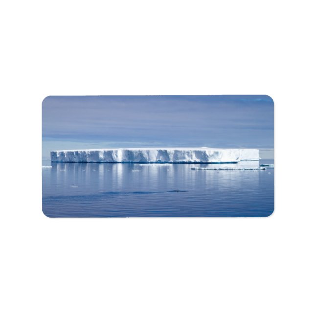 Floating iceberg label (Front)